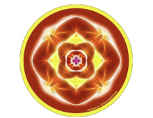 DISQUE HARMONISANT - MINERAUX