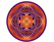 DISQUE HARMONISANT - INTUITION