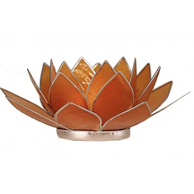 LOTUS CHAKRA TOUTES COULEURS GM