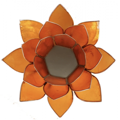 LOTUS CHAKRA TOUTES COULEURS GM