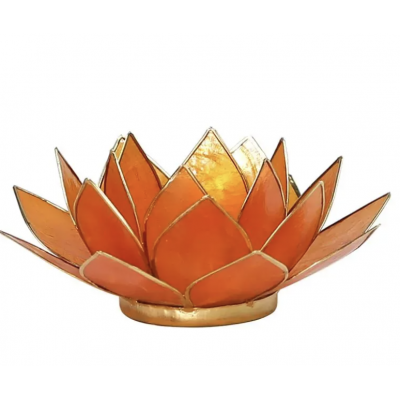 LOTUS CHAKRA TOUTES COULEURS GM