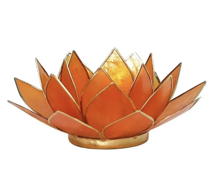 LOTUS CHAKRA TOUTES COULEURS GM
