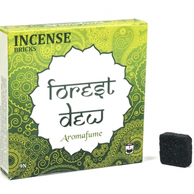 CUBE ENCENS FORET