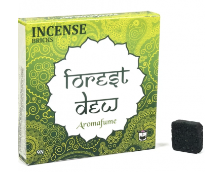 CUBE ENCENS FORET