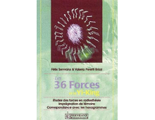 LES 36 FORCES ET LE YI-KING