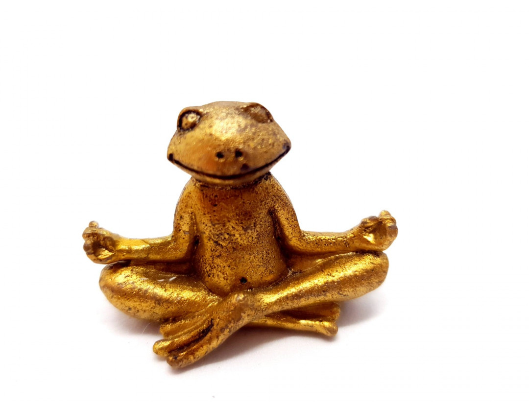 GRENOUILLE ZEN