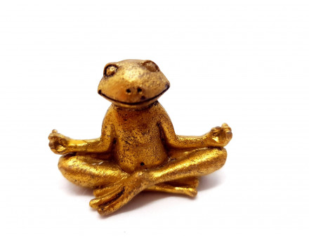 GRENOUILLE ZEN