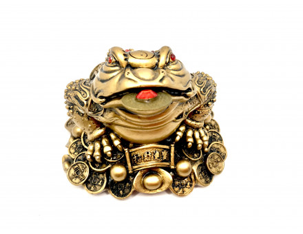 CRAPAUD FORTUNE