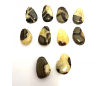 SEPTARIA - PIERRE PERCÉE