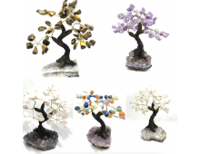 ARBRE DU BONHEUR MOYEN