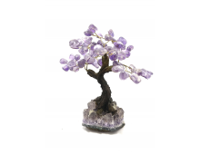 ARBRE DU BONHEUR MOYEN