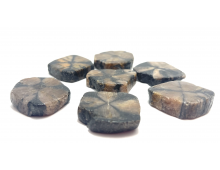 CHIASTOLITE GALET PLAT