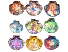 COQUILLE ST JACQUES DÉCORÉE