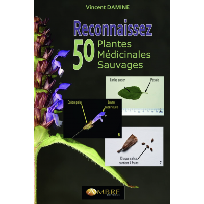 RECONNAISSEZ 50 PLANTES MÉDICINALES SAUVAGES