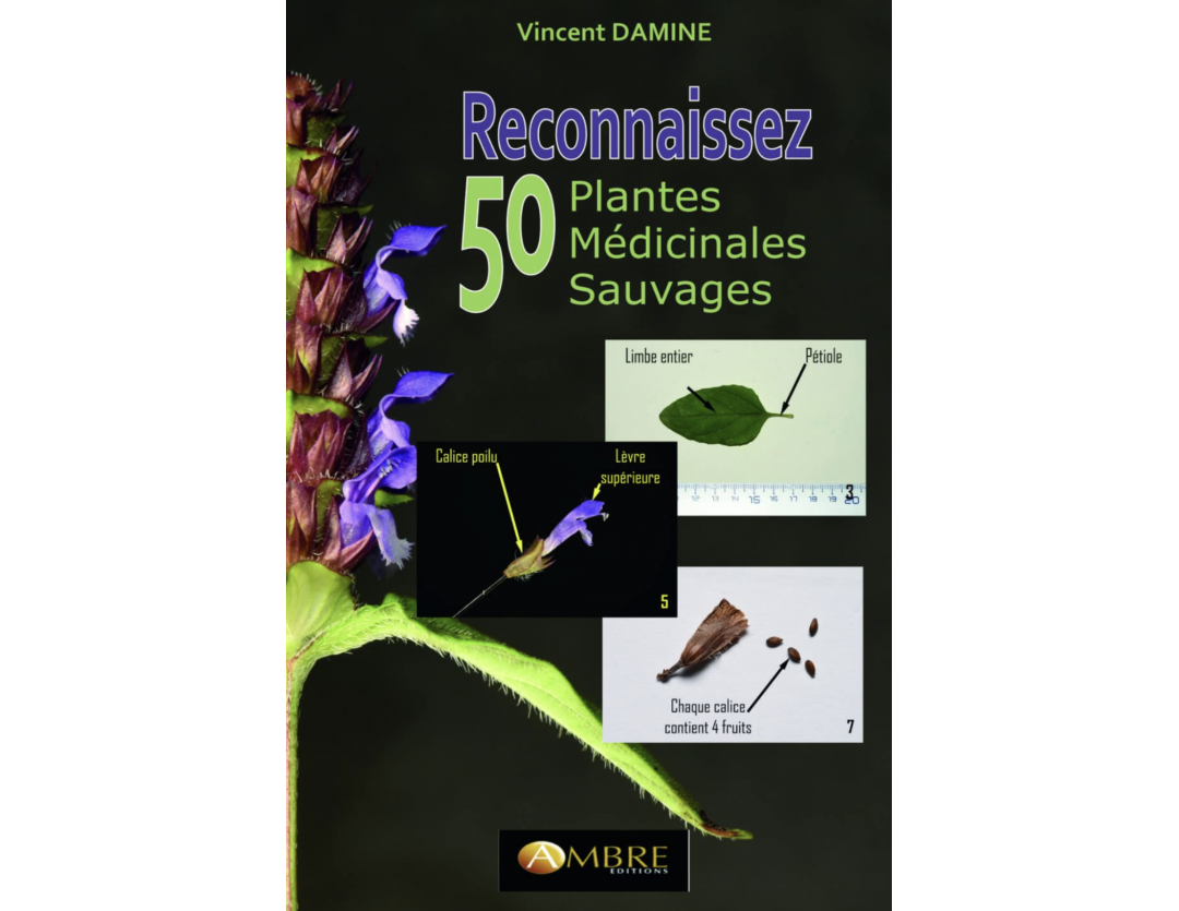 RECONNAISSEZ 50 PLANTES MÉDICINALES SAUVAGES