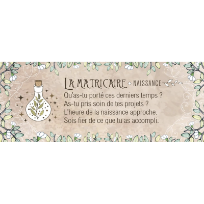 LE PETIT ORACLE DU DRUIDE