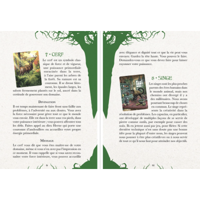 COFFRET LE GRAND ORACLE DE L'AMOUR