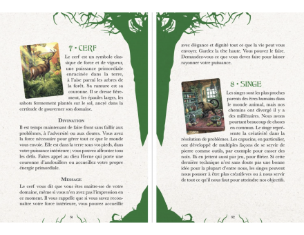 COFFRET LE GRAND ORACLE DE L'AMOUR