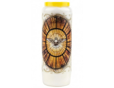 NEUVAINE  SAINT ESPRIT