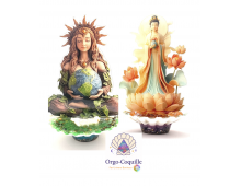 ORGO-COQUILLE - CRÉATION UNIVERS BONHEUR