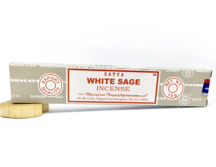 SAUGE BLANCHE