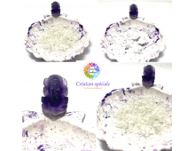 VIDE POCHE COQUILLE ST JACQUES  EN JESMONITE &