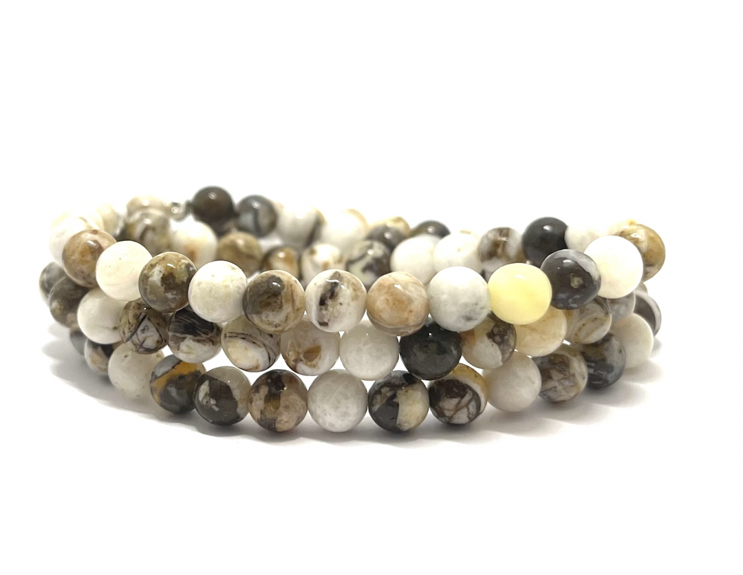 BOIS PÉTRIFIÉ D'AMÉRIQUE DU NORD 6 MM