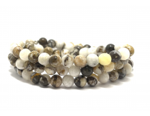 BOIS PÉTRIFIÉ D'AMÉRIQUE DU NORD 6 MM