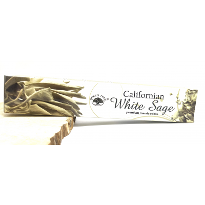 SAUGE BLANCHE DE CALIFORNIE