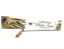 SAUGE BLANCHE DE CALIFORNIE