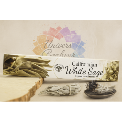 SAUGE BLANCHE DE CALIFORNIE