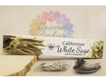 SAUGE BLANCHE DE CALIFORNIE