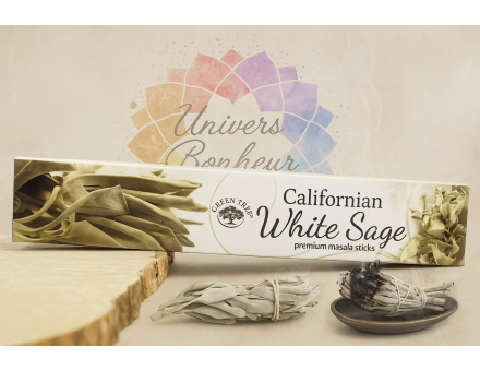 SAUGE BLANCHE DE CALIFORNIE