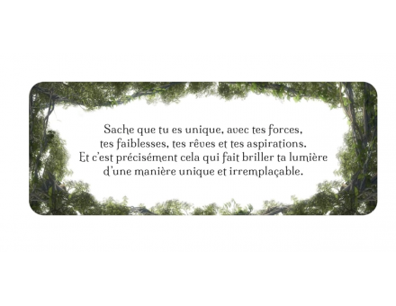 LE PETIT ORACLE DE L'ESTIME DE SOI