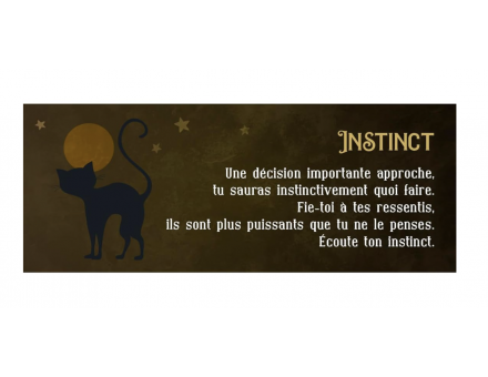 LE PETIT ORACLE DU CHAT NOIR