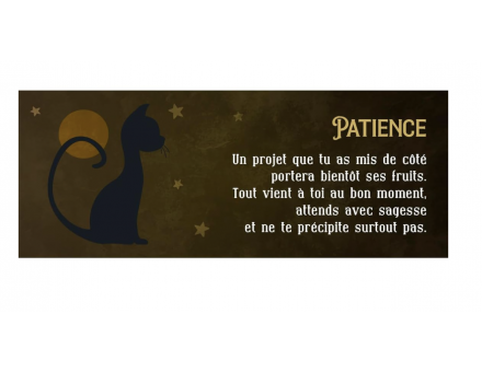 LE PETIT ORACLE DU CHAT NOIR