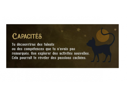 LE PETIT ORACLE DU CHAT NOIR