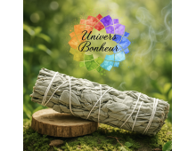 SAUGE BLANCHE DE CALIFORNIE BIO - 10 CM