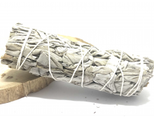 SAUGE BLANCHE DE CALIFORNIE BIO - 10 CM