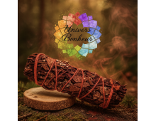 SAUGE BLANCHE SANG DE DRAGON