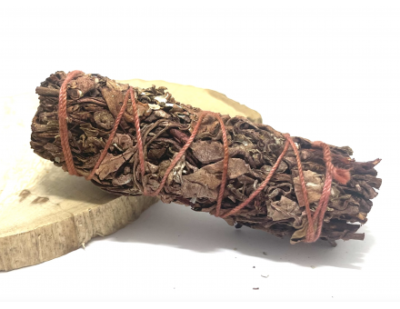 SAUGE BLANCHE SANG DE DRAGON