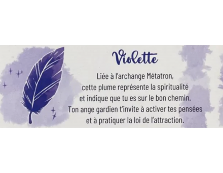LE PETIT ORACLE DES PLUMES