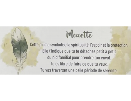 LE PETIT ORACLE DES PLUMES