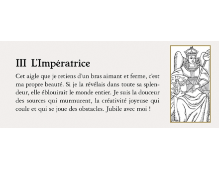 PETIT ORACLE DU TAROT