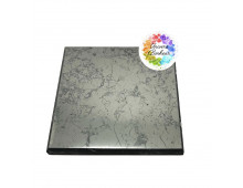 PLAQUE SHUNGITE