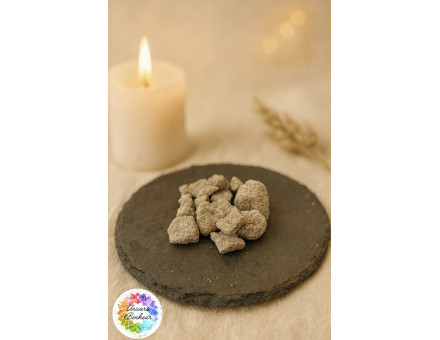 BENJOIN DRAGON FLY - 10 GR