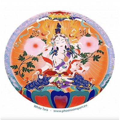 STICKER DE FENÊTRE TARA BLANCHE