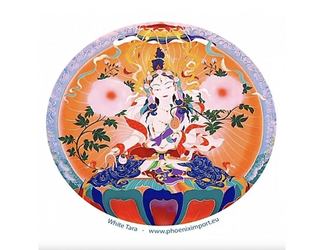 STICKER DE FENÊTRE TARA BLANCHE