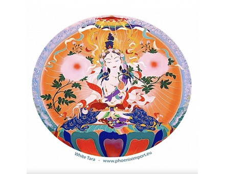 STICKER DE FENÊTRE TARA BLANCHE