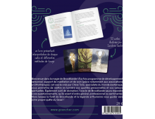 L'ORACLE DE BROCÉLIANDE